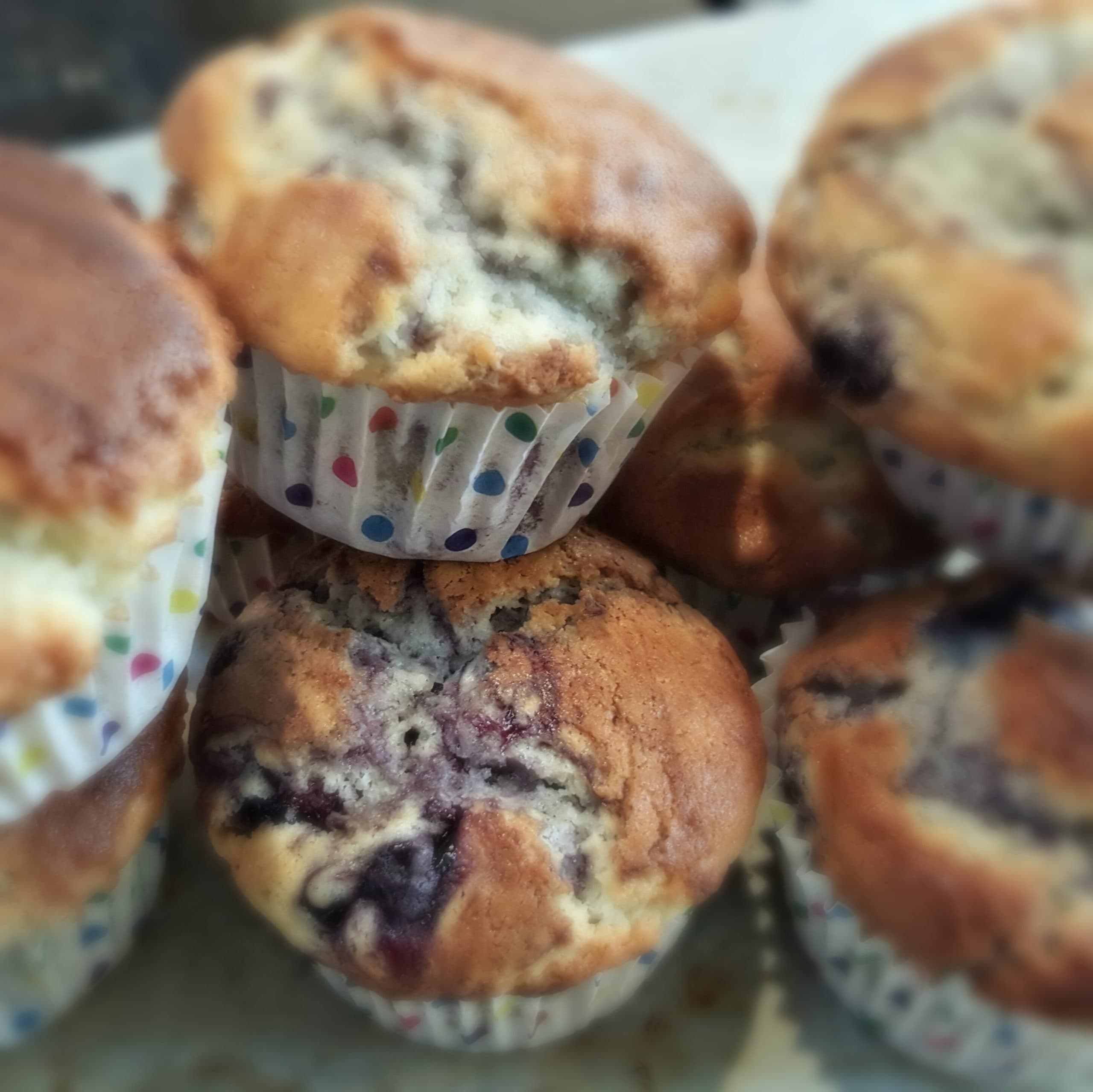 Blueberry Muffins