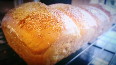 hokkaido milk bun